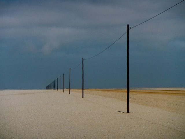 Into the Wasteland