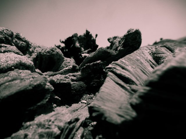 Petrified