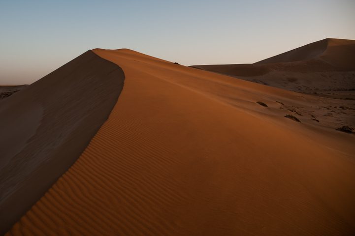 Mini Dune