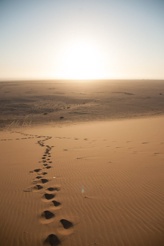 Just sand, sand everywhere!