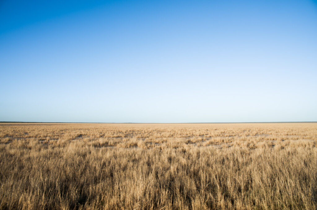 Endless Plains in Etosha
