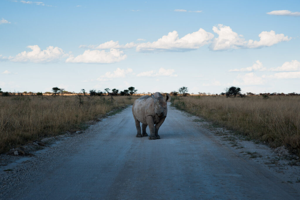 Greetings from the Road